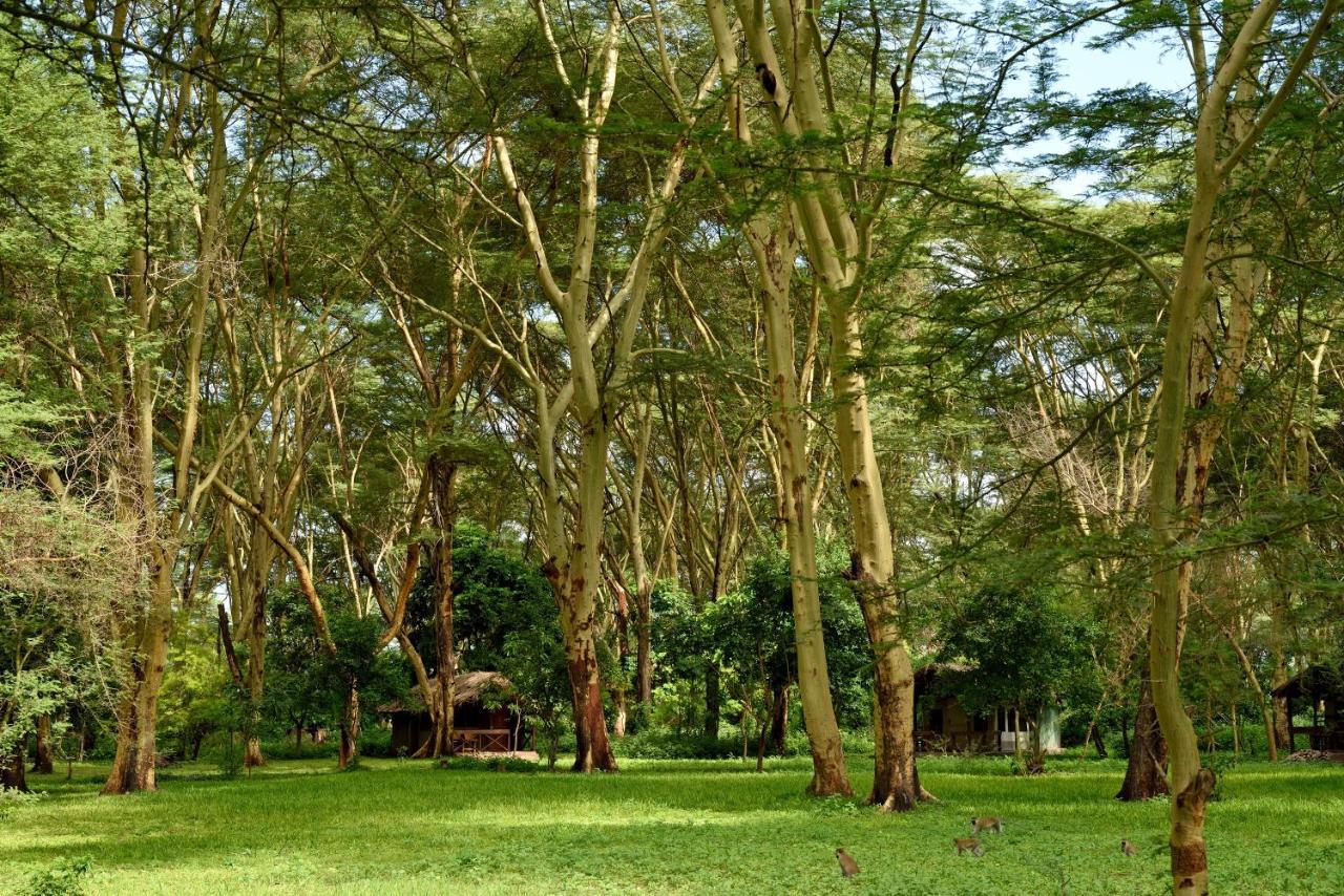 Migunga Tented Camp Mto wa Mbu Extérieur photo