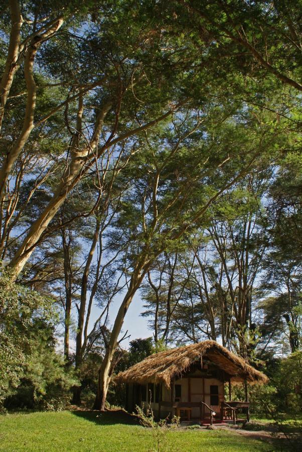 Migunga Tented Camp Mto wa Mbu Extérieur photo