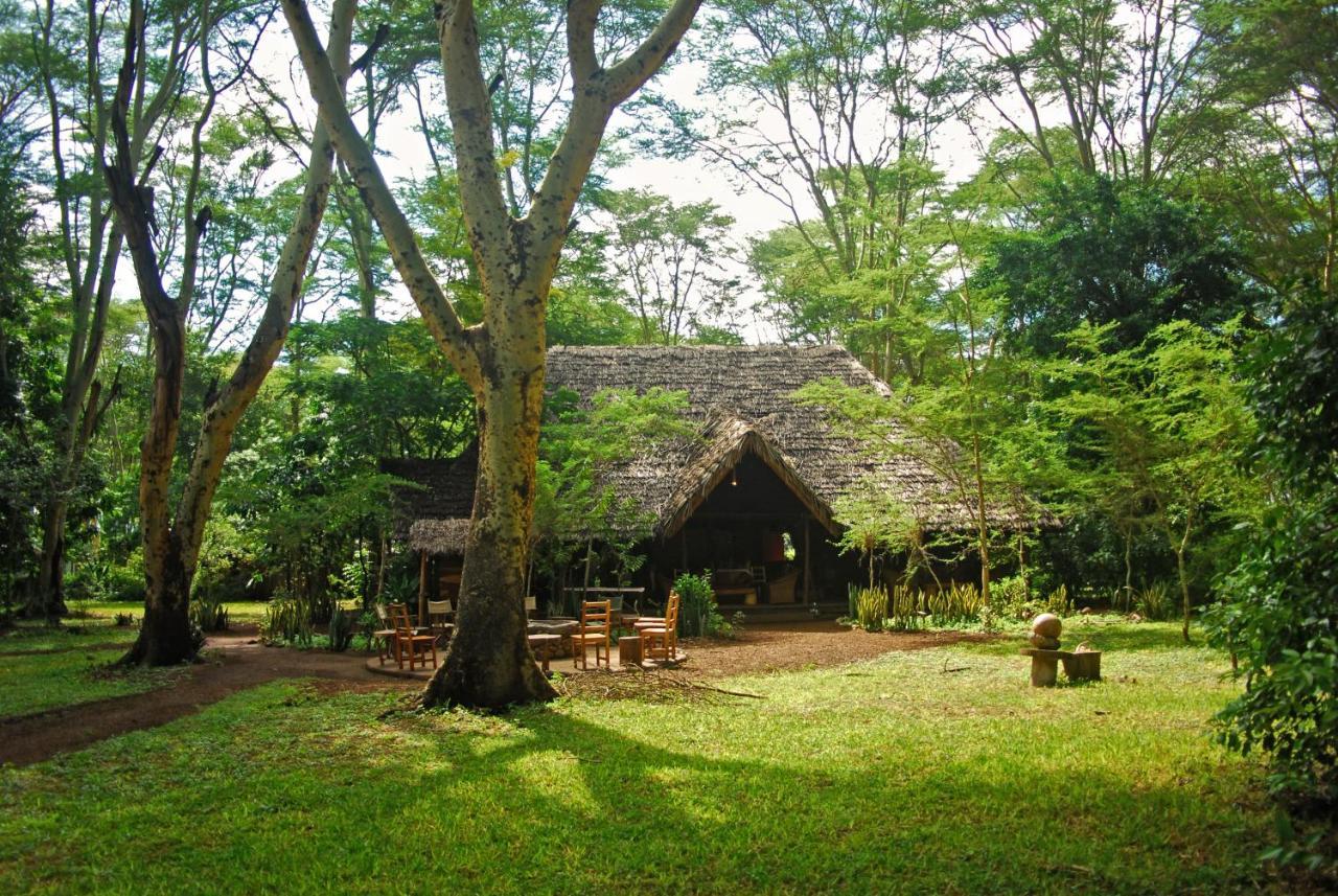 Migunga Tented Camp Mto wa Mbu Extérieur photo
